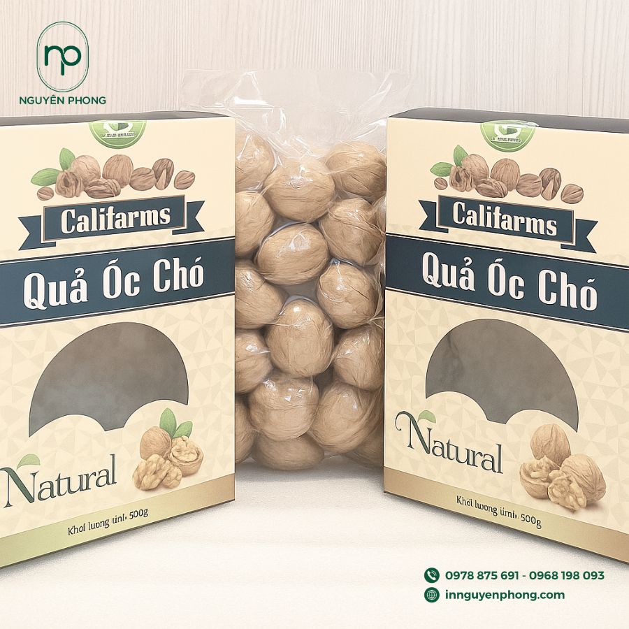 in-hop-giay-dung-oc-cho-gia-re-tai-ha-noi